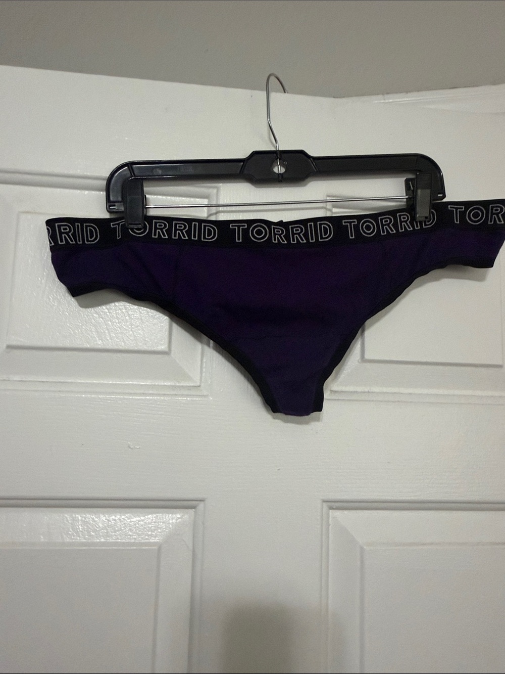 torrid Purple Logo Waistband Bikini Brief thong